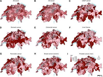 Is Following a Cancer-Protective Lifestyle Linked to Reduced Cancer Mortality Risk?